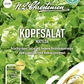 Kopfsalatsamen 'Matilda'