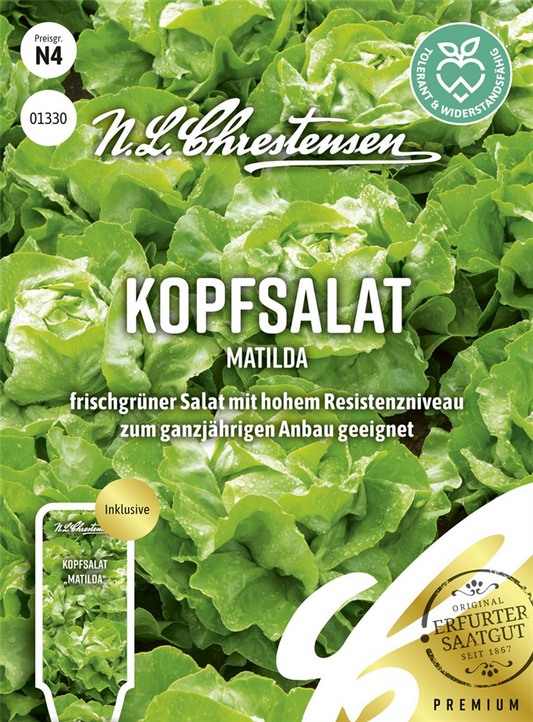 Kopfsalatsamen 'Matilda'