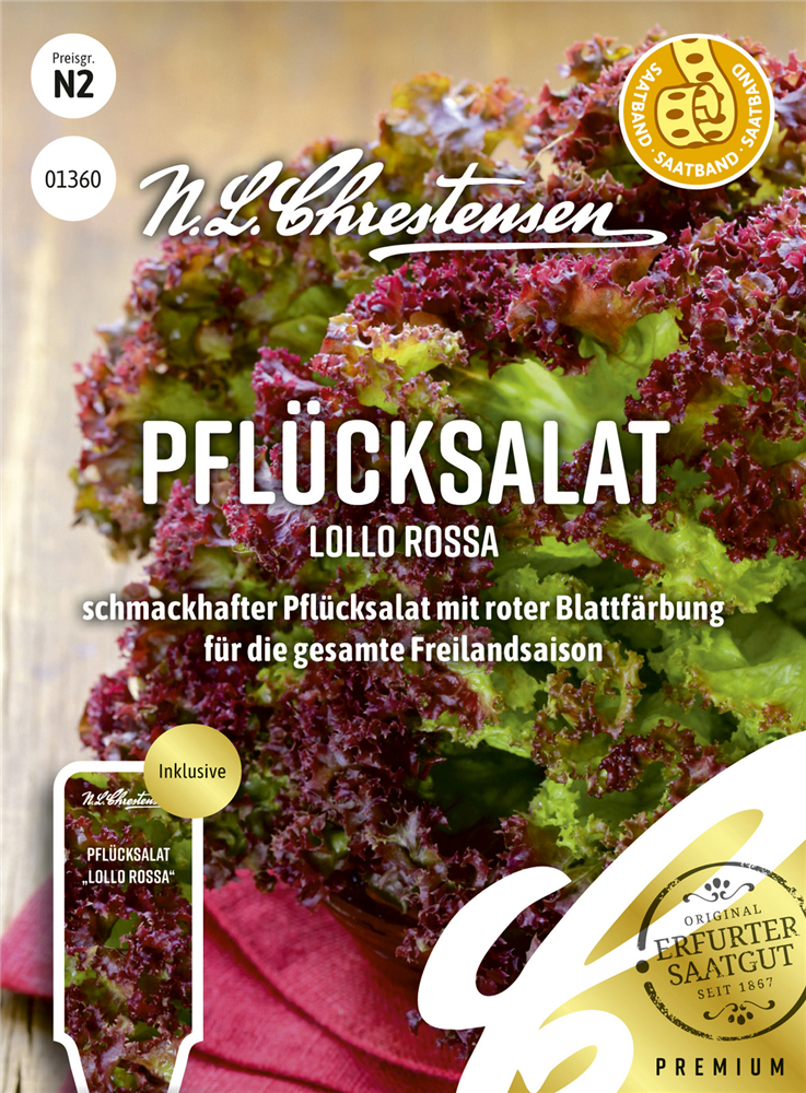 Pflücksalatsamen 'Lollo rosso'