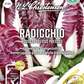 Radicchiosamen 'Rosso di Treviso Precoce'
