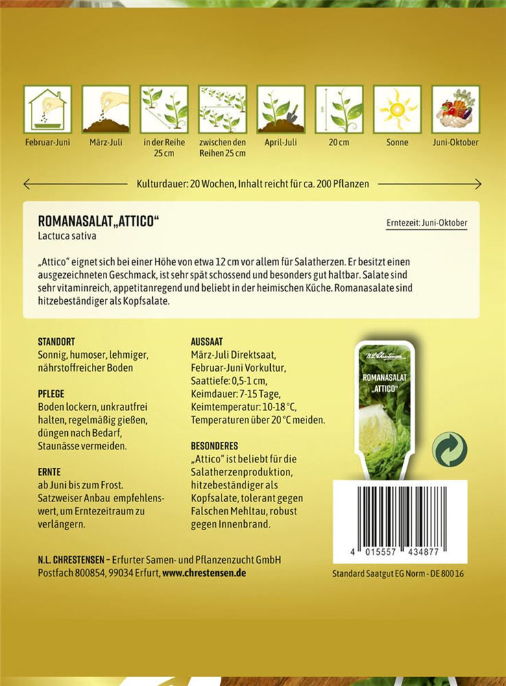 Romanasalatsamen 'Attico'