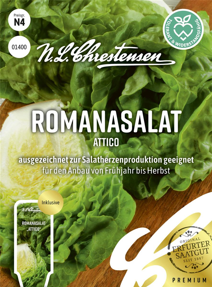 Romanasalatsamen 'Attico'