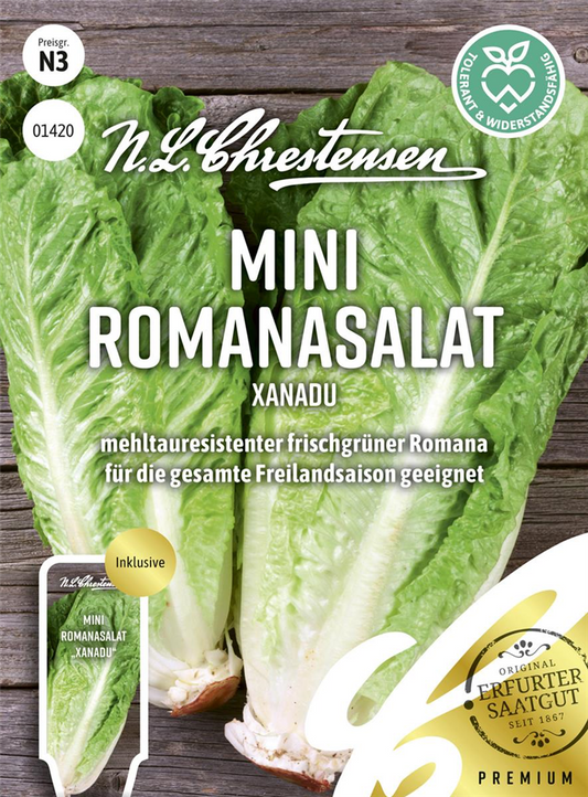 Romanasalatsamen 'Xanadu'