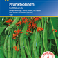 Prunkbohne 'Rotblühende'