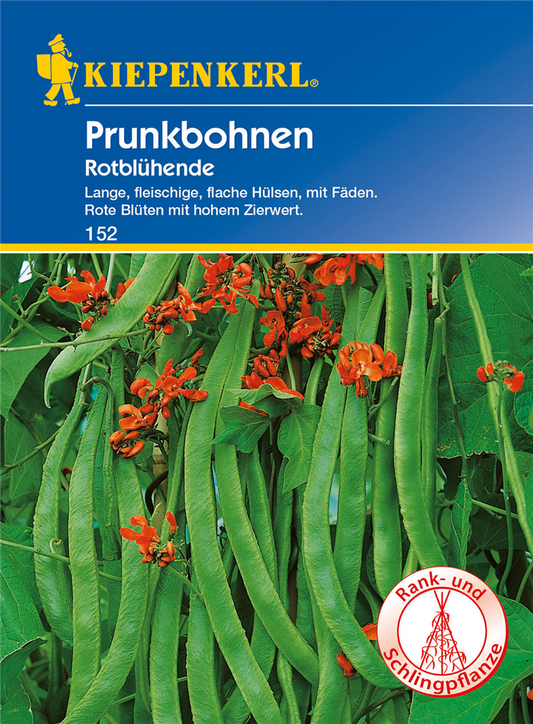 Prunkbohne 'Rotblühende'