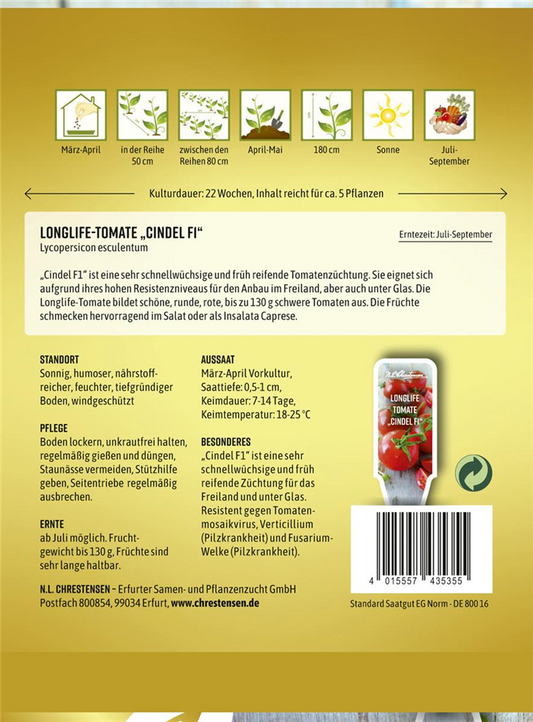 Tomatensamen 'Cindel'