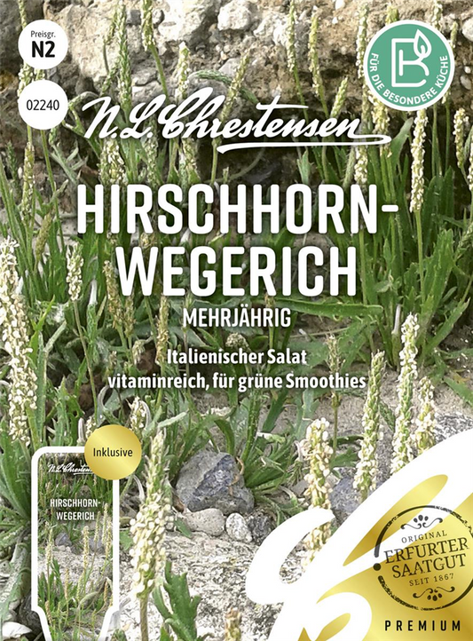 Hirschhorn-Wegerich-Samen