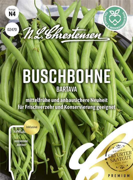 Buschbohnensamen 'Bartava'
