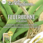 Prunkbohnensamen 'Rotblühende'