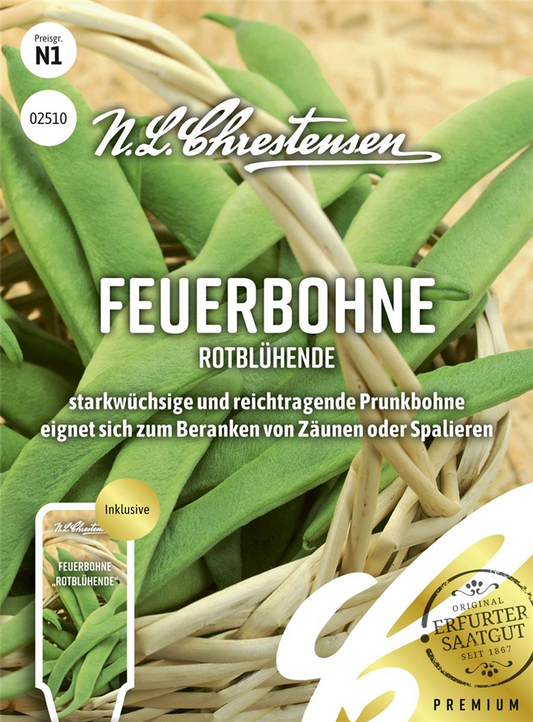 Prunkbohnensamen 'Rotblühende'