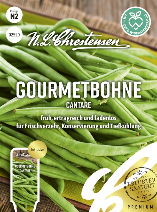 Buschbohnensamen 'Cantare'