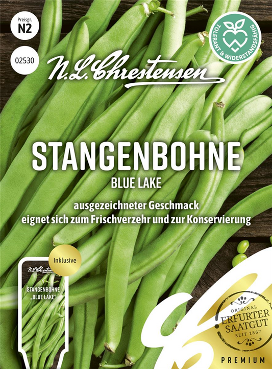 Stangenbohnensamen 'Blue Lake'