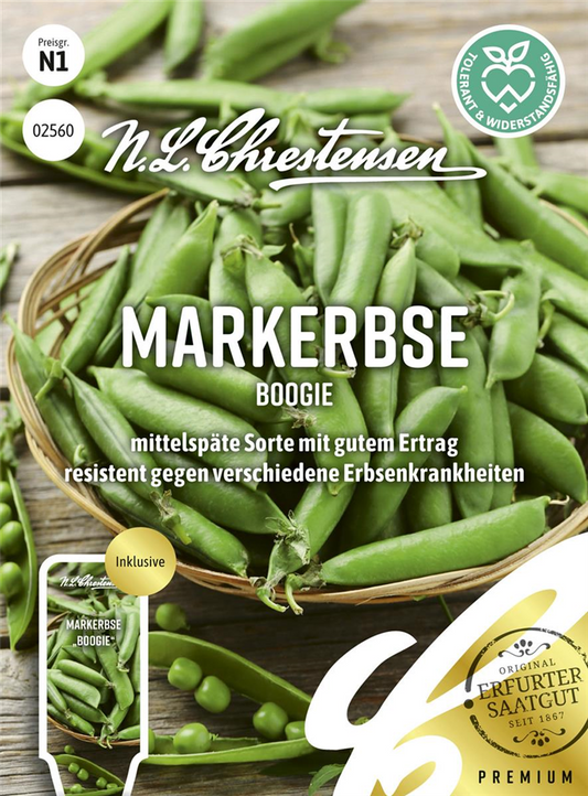 Erbsensamen 'Boogie'