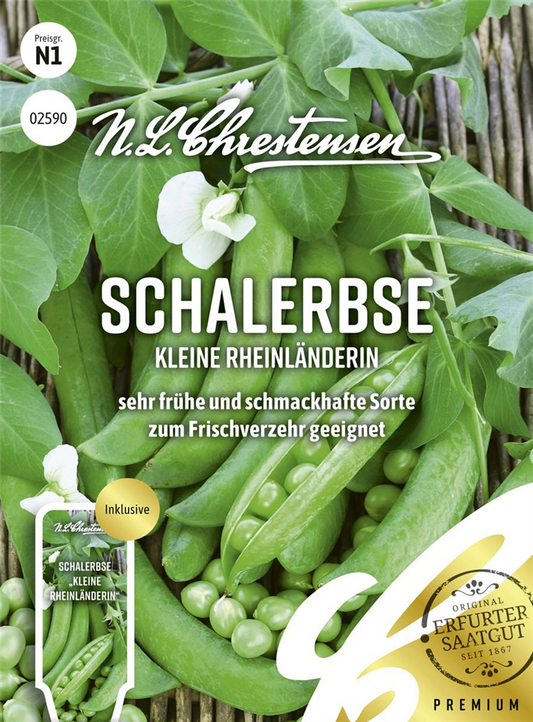 Erbsensamen 'Kleine Rheinländerin'
