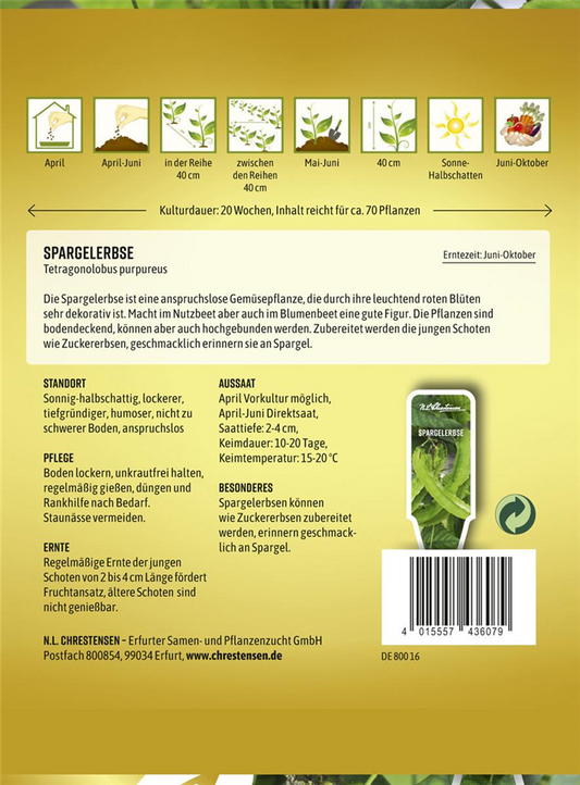 Spargelerbsensamen