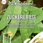 Zuckererbsensamen 'Ambrosia'