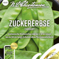 Zuckererbsensamen 'Carouby'