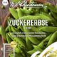 Zuckererbsensamen 'Jessy'