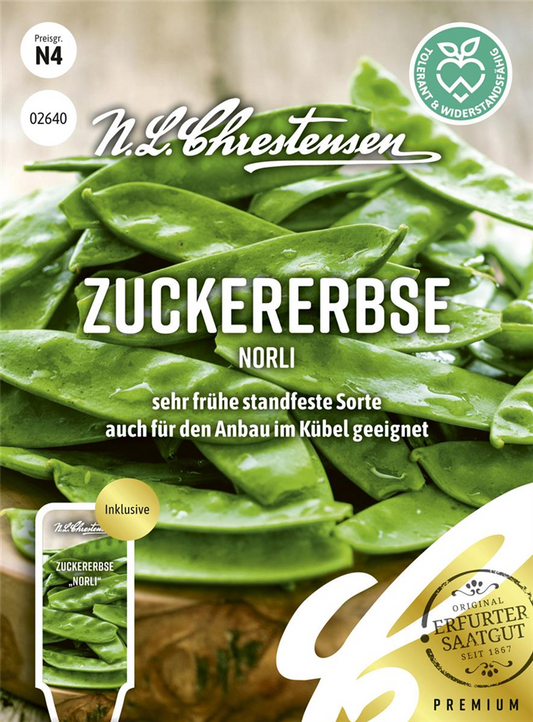 Erbsensamen 'Norli'