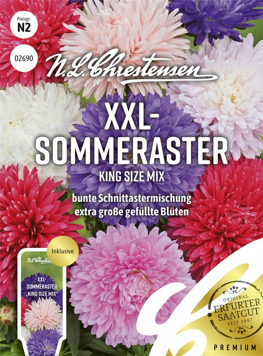 Sommerastersamen 'King Size Mix'