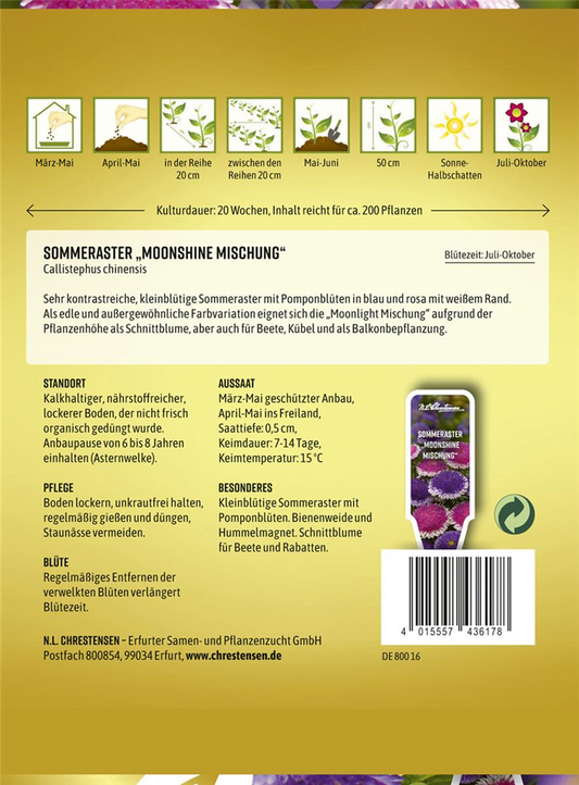 Somerastersamen 'Moonshine Mischung'