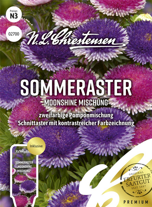 Somerastersamen 'Moonshine Mischung'