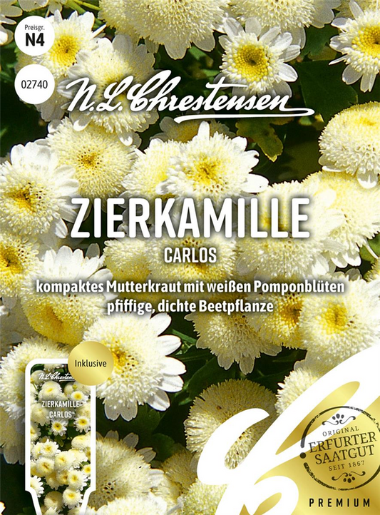 Zierkamillensamen 'Carlos'