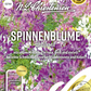 Spinnenblumensamen