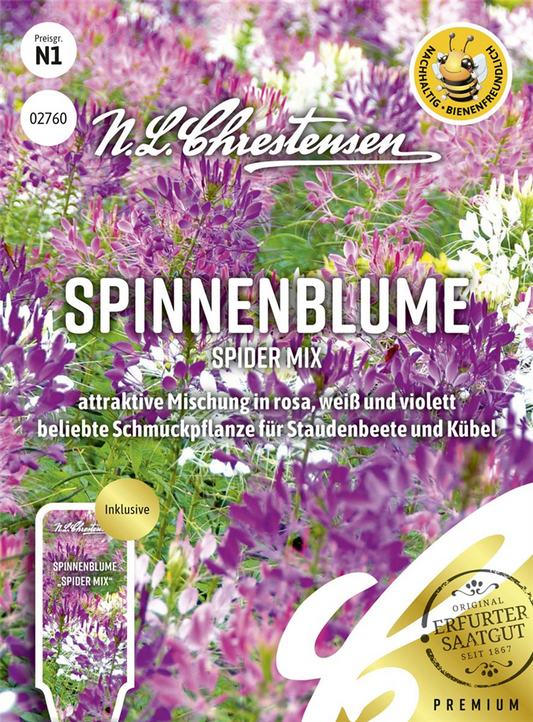 Spinnenblumensamen