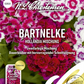 Bartnelkensamen 'Hollandia Mix'
