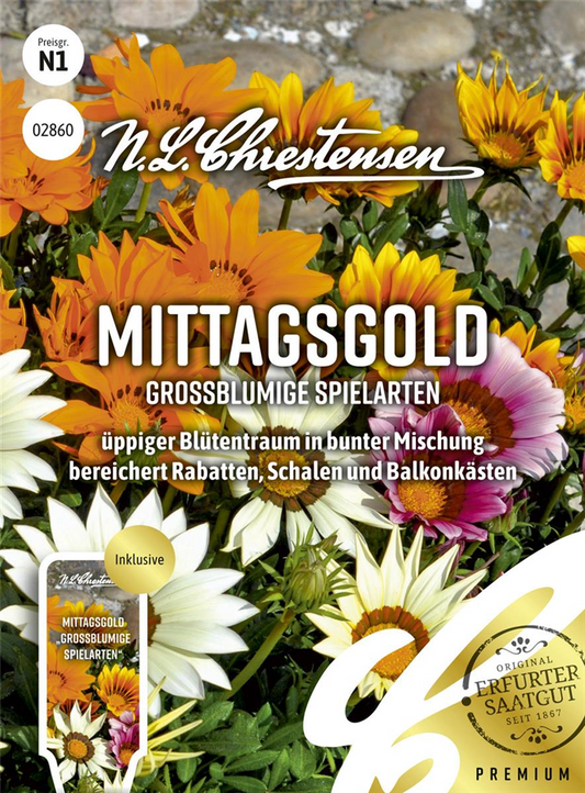 Mittagsgoldsamen 'Großblumige Spielarten'
