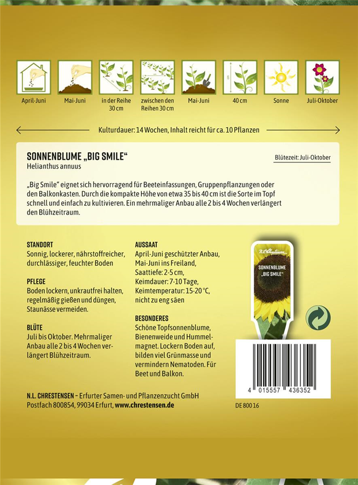 Sonnenblumensamen 'Big Smile'