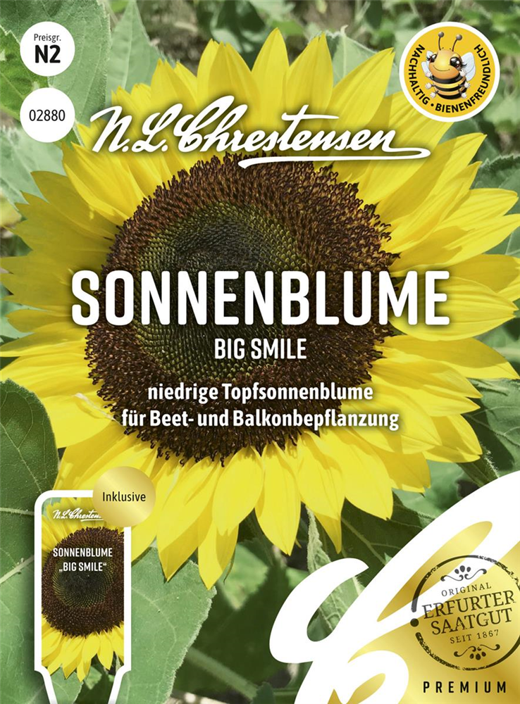 Sonnenblumensamen 'Big Smile'