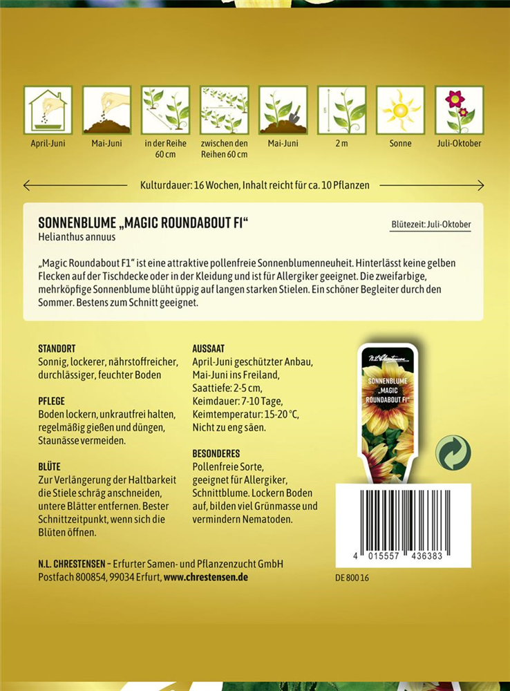 Sonnenblumensamen 'Magic Roundabout F1'