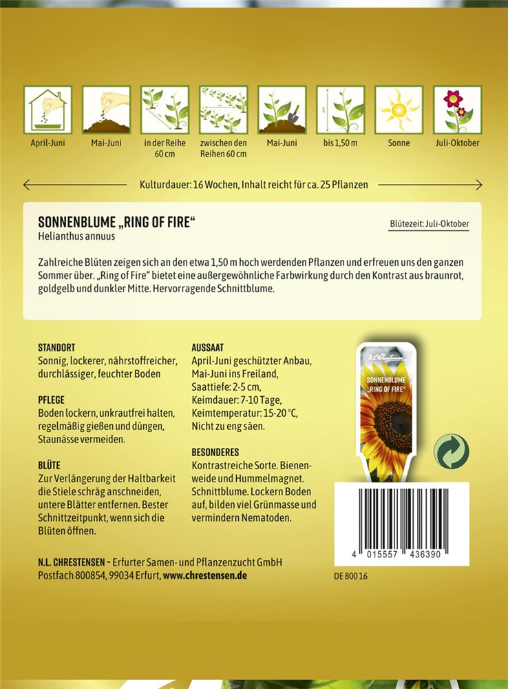 Sonnenblumensamen 'Ring of Fire'
