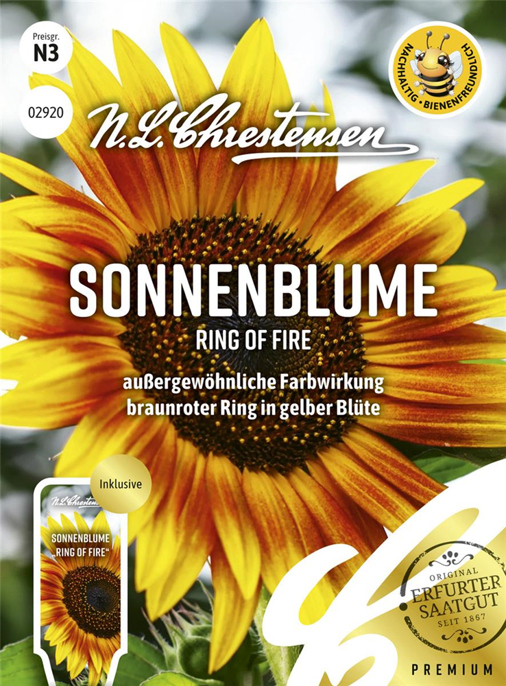 Sonnenblumensamen 'Ring of Fire'