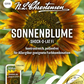 Sonnenblumensamen 'Shock-o-lat'