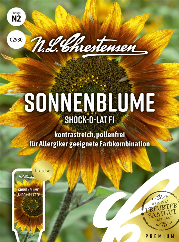 Sonnenblumensamen 'Shock-o-lat'
