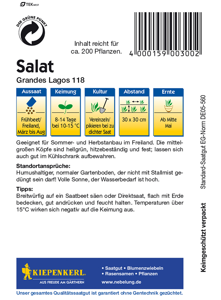 Eis-Krachsalat 'Great Lakes 118'