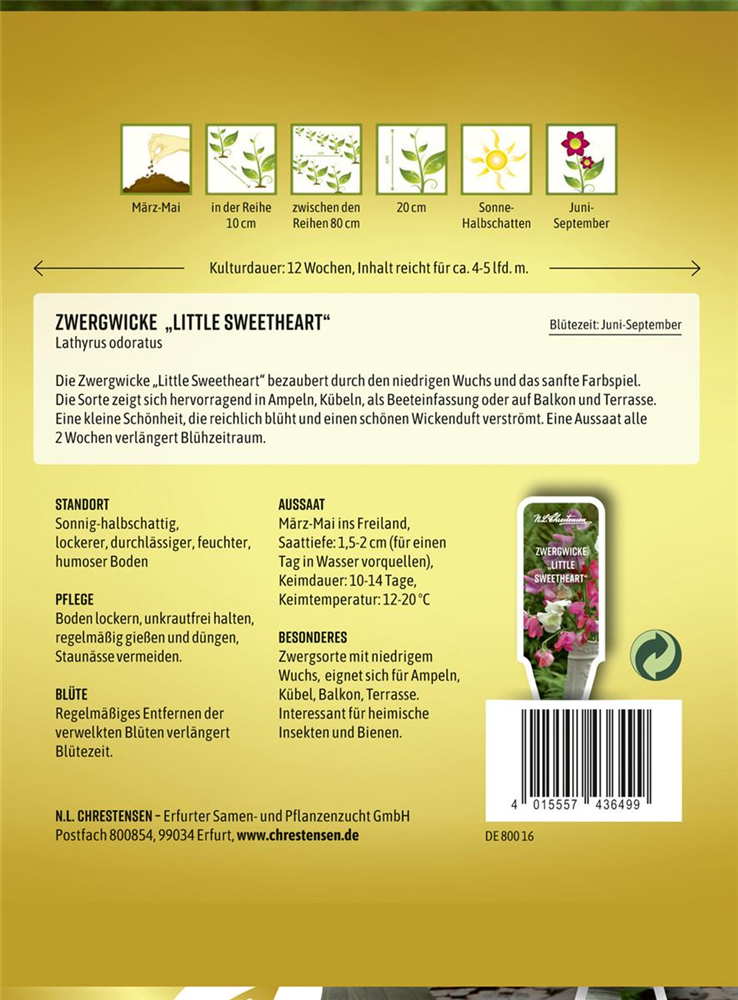 Zwergwickensamen 'Little Sweetheart'