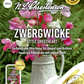 Zwergwickensamen 'Little Sweetheart'