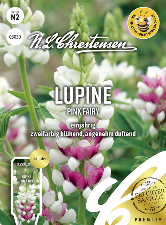 Lupinensamen 'Pink Fairy'