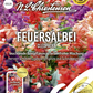 Feuersalbeisamen 'Cleopatra'