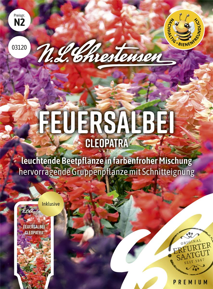 Feuersalbeisamen 'Cleopatra'