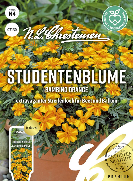 Tagetessamen 'Bambino Orange'