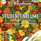 Tagetessamen 'Niedrige Prachtmischung'