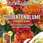 Tagetessamen 'Strawberry Blonde'