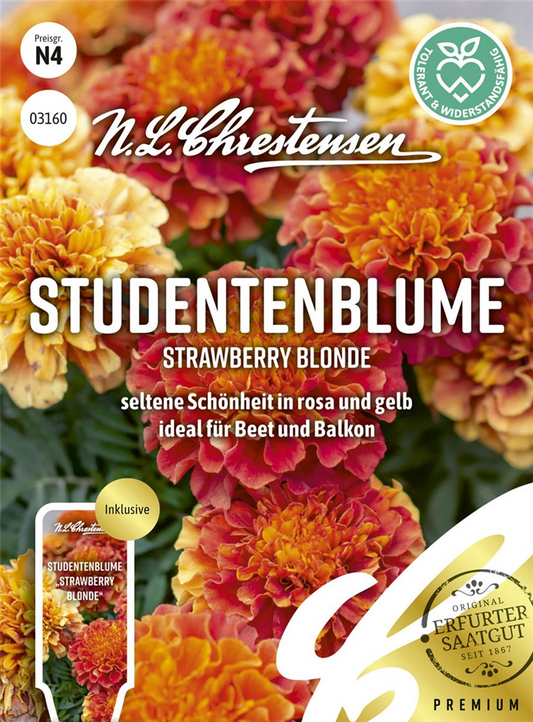 Tagetessamen 'Strawberry Blonde'