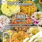 Zinniensamen 'Candy Stripe'