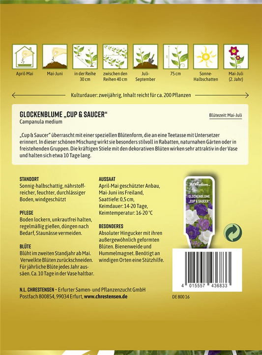 Marien-Glockenblume-Samen 'Cup & Saucer'